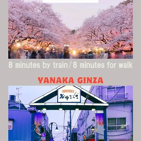 Lovetokyo Easy Access Nezu Sunset House 根津駅徒歩1分 2-4人 エレベーター 上野 谷中銀座 根津神社 東京大学 新宿 渋谷 銀座 築地 原宿近い Extérieur photo