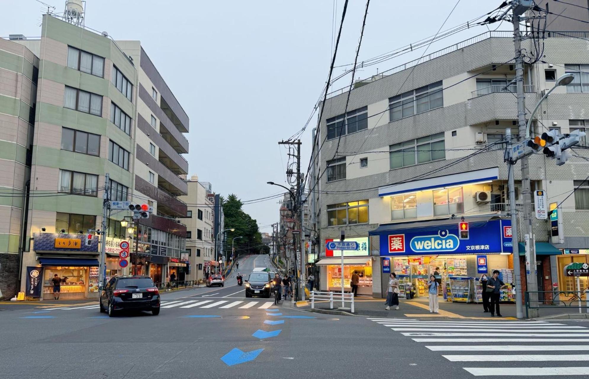 Appartement Lovetokyo Easy Access Nezu Sunset House 根津駅徒歩1分 2-4人 エレベーター 上野 谷中銀座 根津神社 東京大学 新宿 渋谷 銀座 築地 原宿近い *