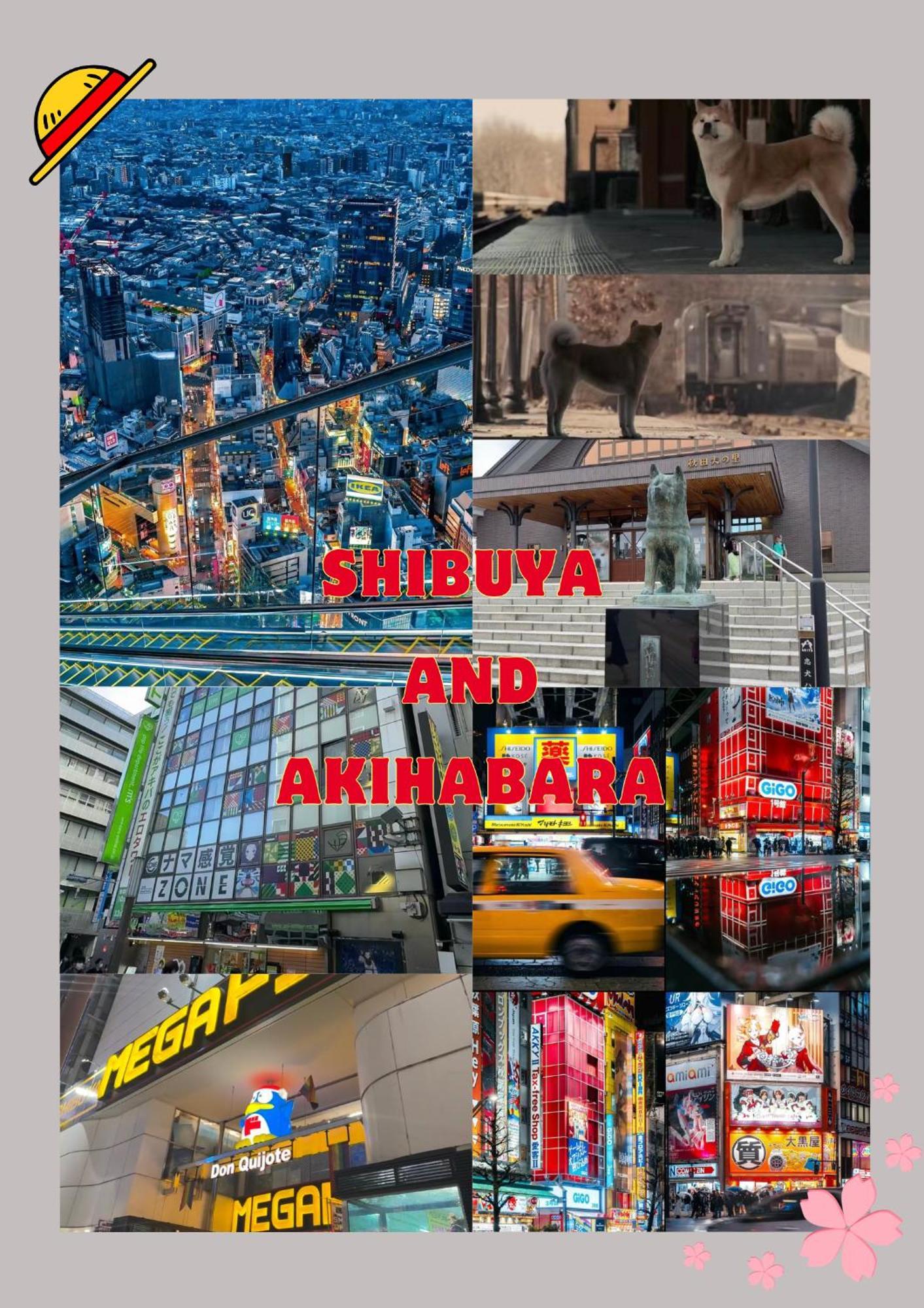 Lovetokyo Easy Access Nezu Sunset House 根津駅徒歩1分 2-4人 エレベーター 上野 谷中銀座 根津神社 東京大学 新宿 渋谷 銀座 築地 原宿近い Appartement *